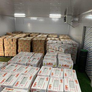 KHO LẠNH GIÚP BẢO QUẢN CHUỐI 23