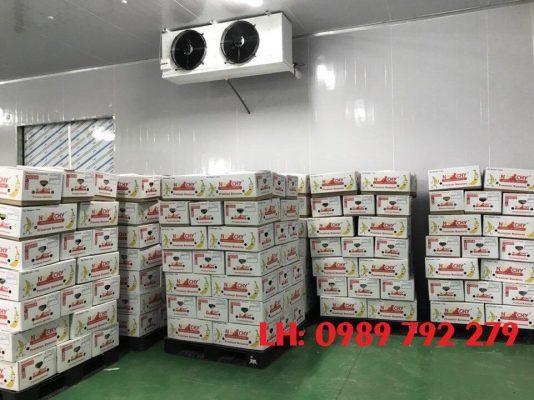 KHO LẠNH CHUỐI LONG AN 02