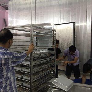 HẦM ĐÔNG GIÓ BẢO QUẢN TÔM TẠI CÀ MAU 06