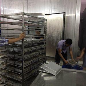 HẦM ĐÔNG GIÓ BẢO QUẢN TÔM TẠI CÀ MAU 04