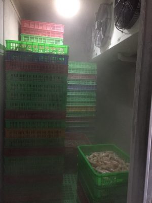 KHO BẢO QUẢN HẢI SẢN Ở BÌNH TÂN - HCM 15