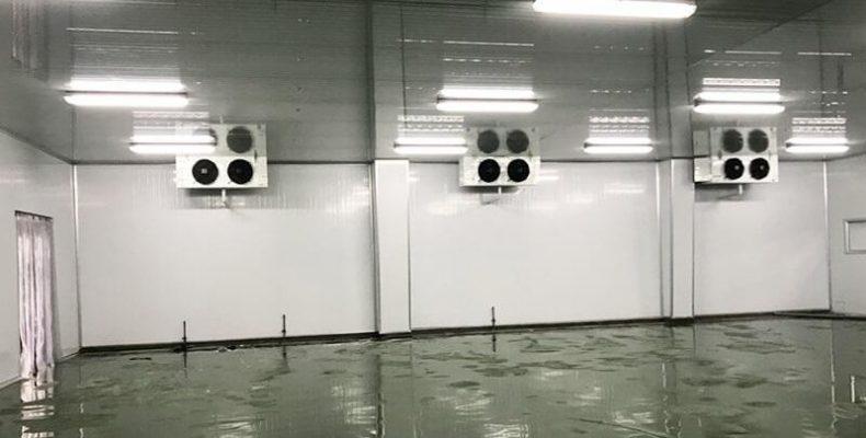 THI CÔNG KHO LẠNH BẢO QUẢN TẠI VINECO CỦ CHI 05