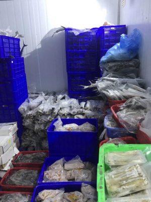 KHO LẠNH BẢO QUẢN HẢI SẢN 03
