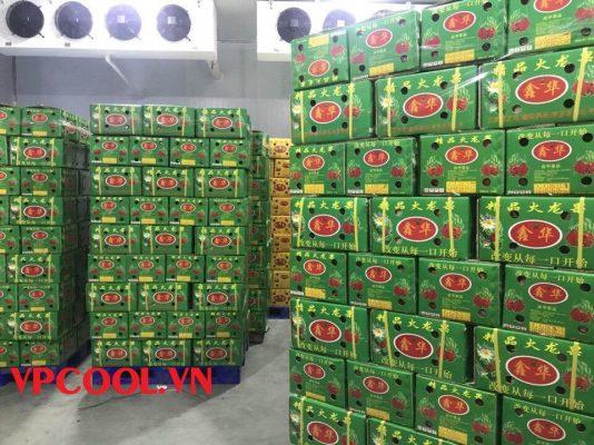 kho lạnh bảo quản thanh long