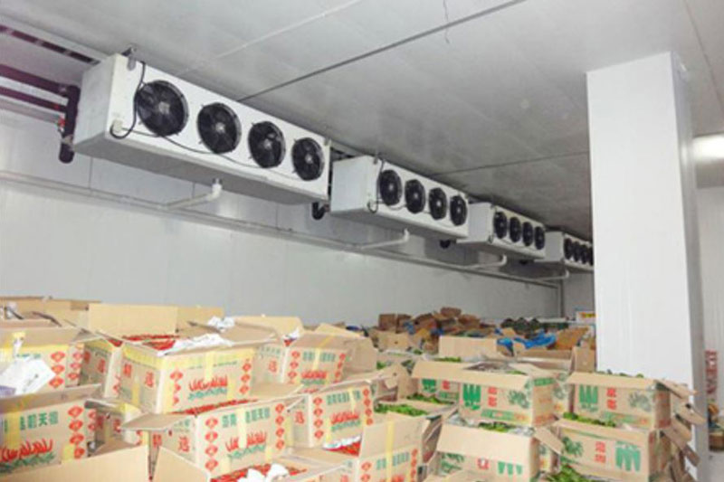 Kho-lạnh-bảo-quản-rau